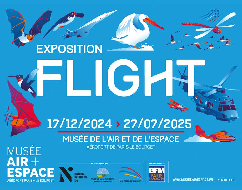 Exhibition. “Flight”